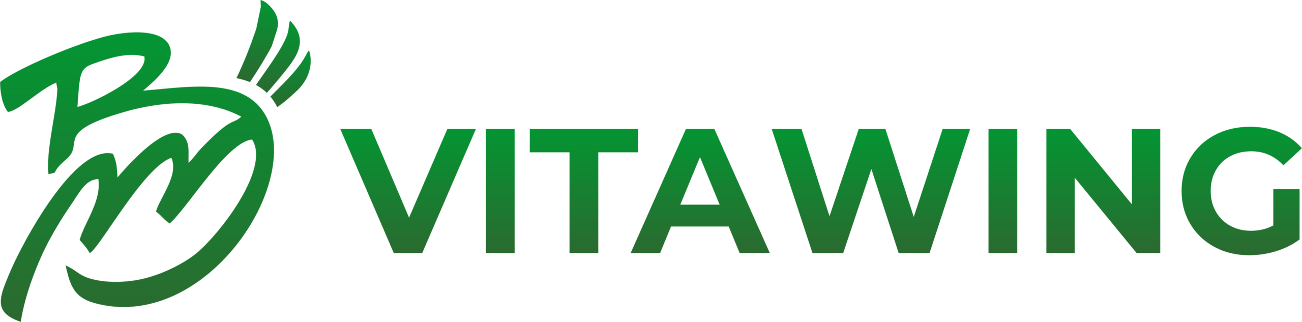 bmvitawing.com